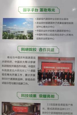 院士來了，國字號(hào)科研院所也來了——生態(tài)環(huán)境高水平保護(hù)推動(dòng)經(jīng)濟(jì)高質(zhì)量發(fā)展看濰坊見聞