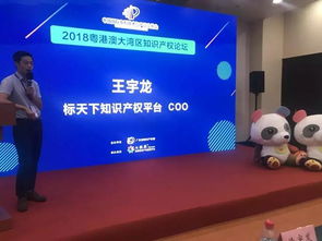 七弦琴 專利交易盛會中的知識產(chǎn)權服務新星