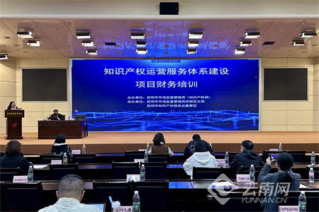 昆明高新區(qū)舉辦知識產(chǎn)權運營服務體系建設項目財務培訓會
