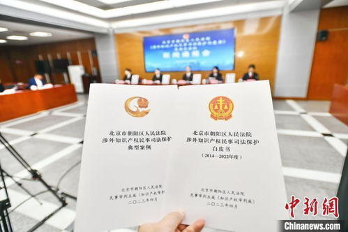 北京朝陽法院發(fā)布涉外知識產(chǎn)權民事司法保護白皮書 提升服務能力，優(yōu)化營商環(huán)境
